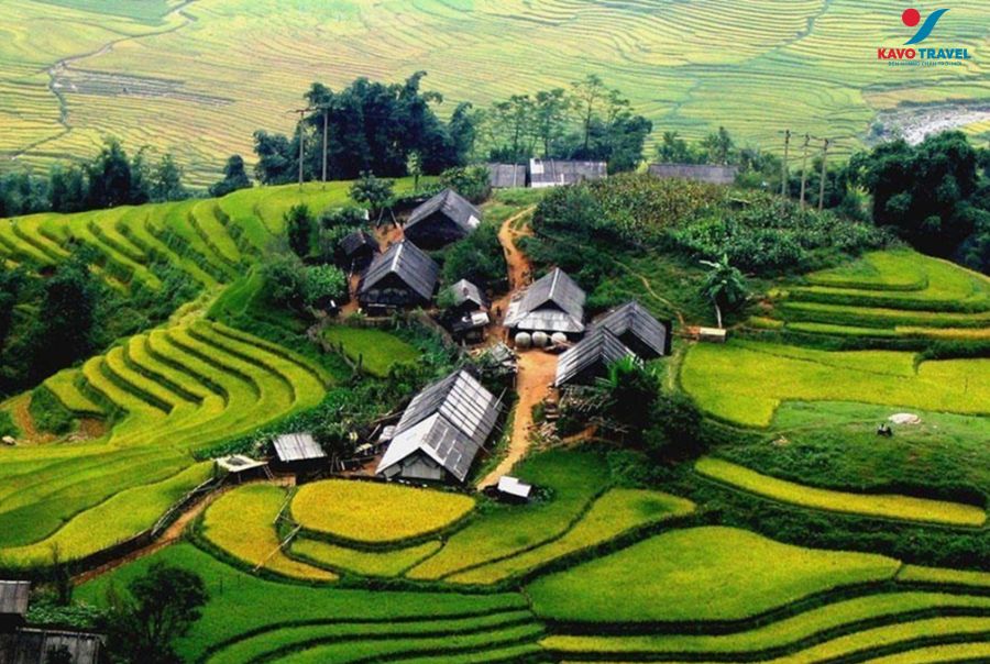 Xr:d:dafaimlxusc:42,j:3436636661,t:23021008